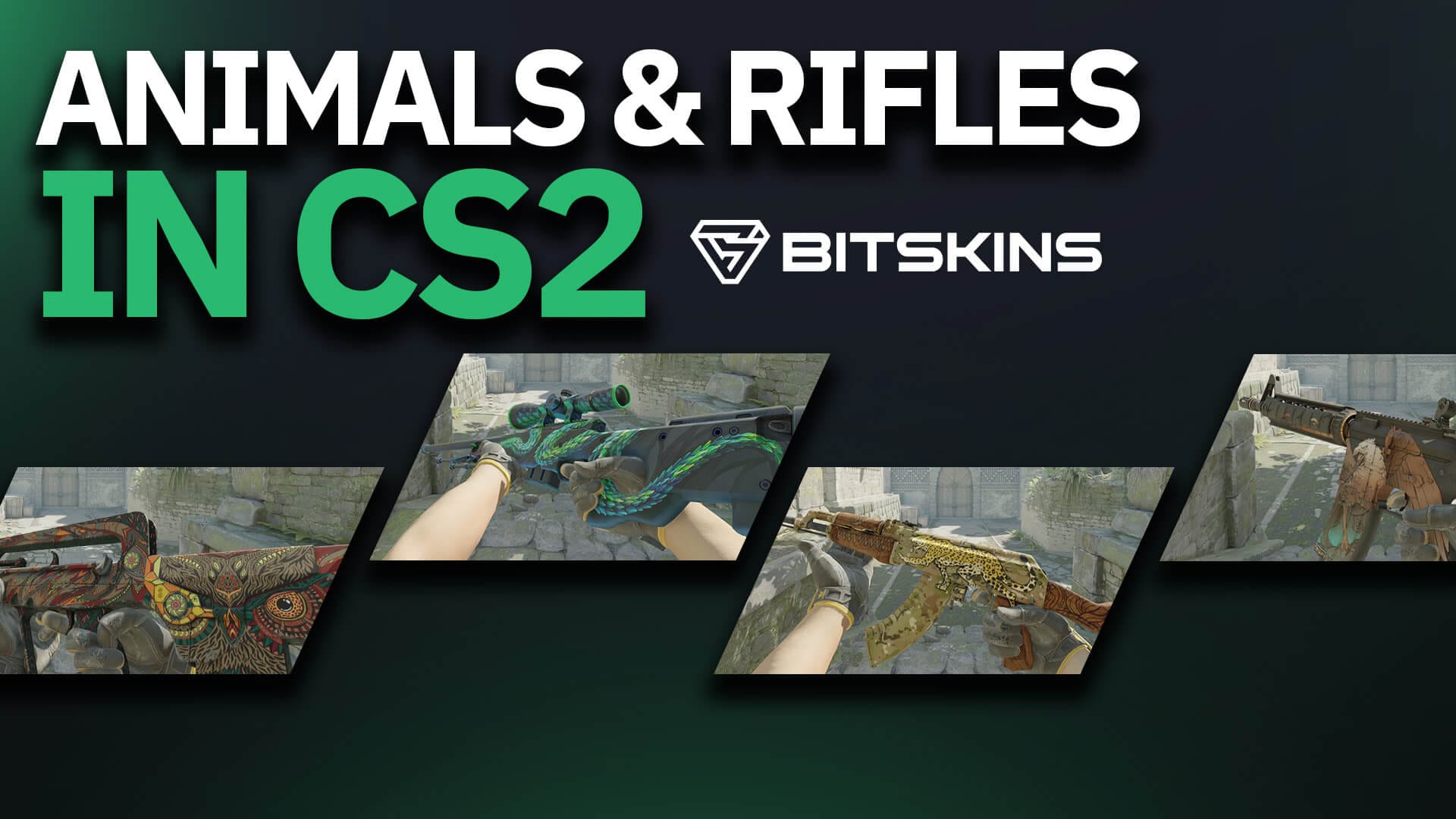 CS2 Animal Skins