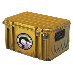 CS2 Recoil Case CS2 Recoil Case