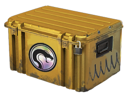 CS2 Recoil Case CS2 Recoil Case