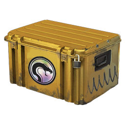 CS2 Recoil Case CS2 Recoil Case