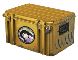 CS2 Recoil Case CS2 Recoil Case